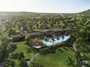 South Palmgrove